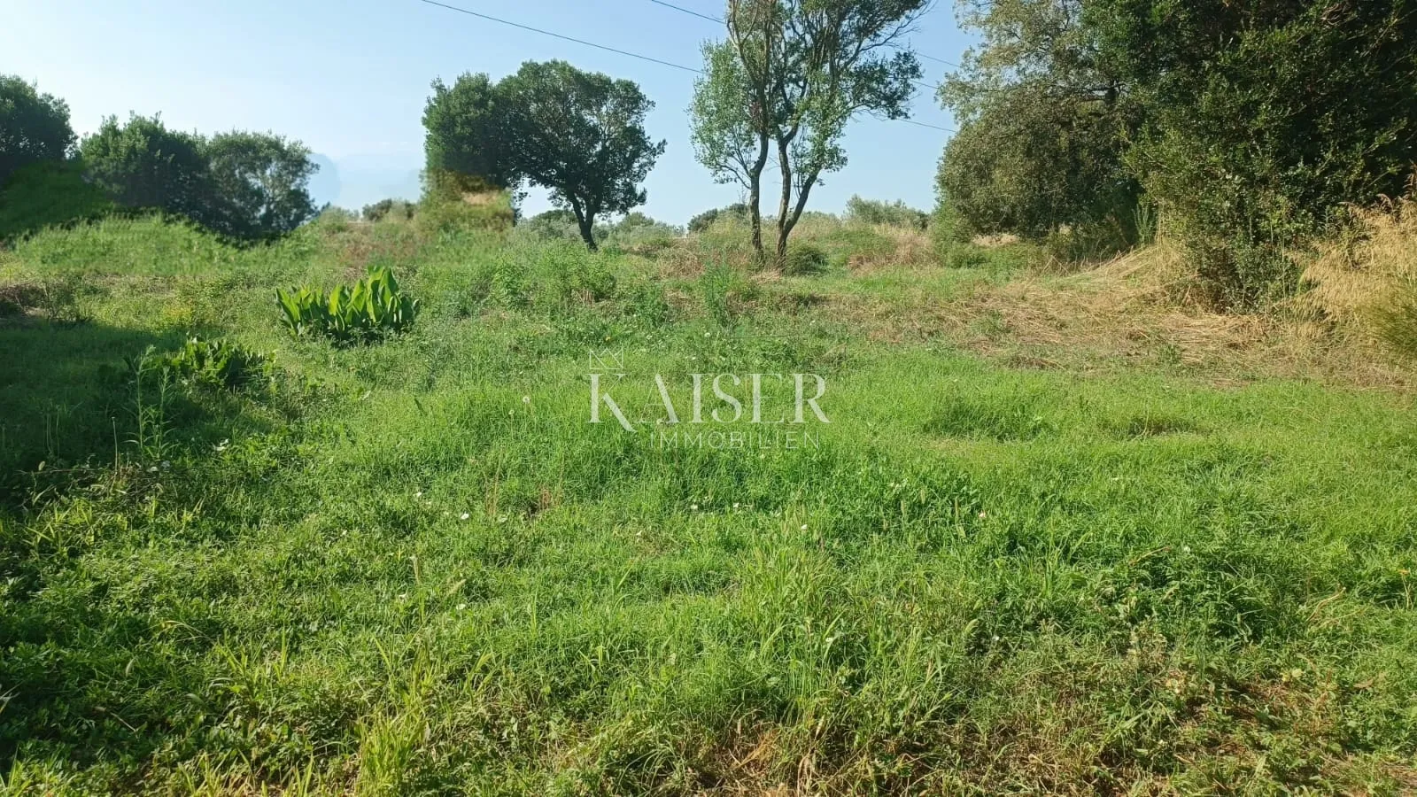 istra, pula- građevinsko zemljište 540m2 s projektom na mirnoj lokaciji - slika 2