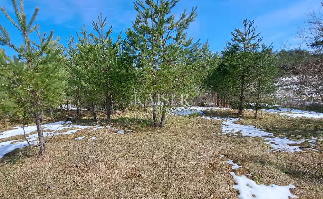 lika, ekskluzivna investicijska prilika – zemljište za premium a-frame resort - slika 4