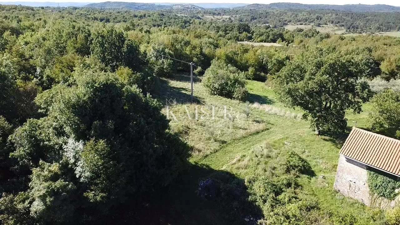 istra, oprtalj - građevinsko zemljište 4500 m2 s dvije kamene kuće - slika 9