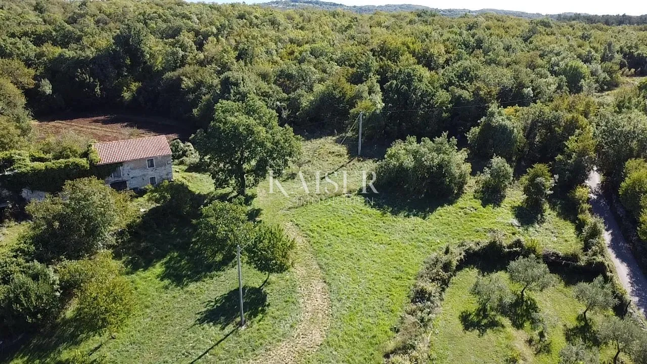 istra, oprtalj - građevinsko zemljište 4500 m2 s dvije kamene kuće - slika 4