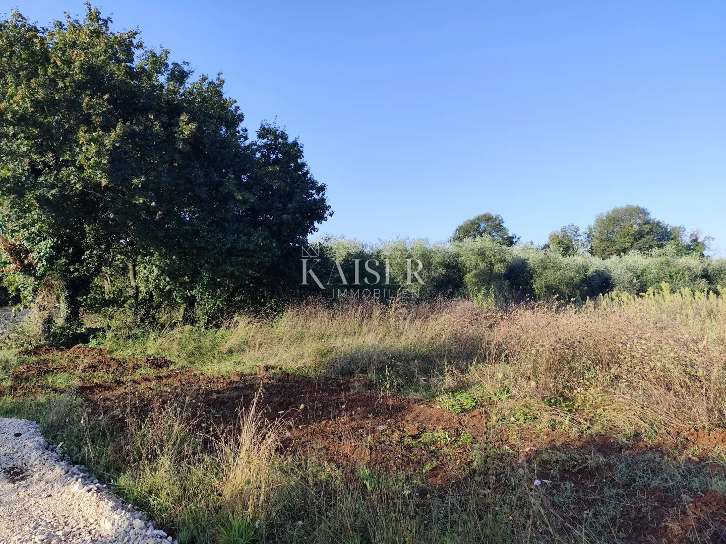 istra, vabriga - građevinsko zemljište s građevinskom dozvolom - slika 4