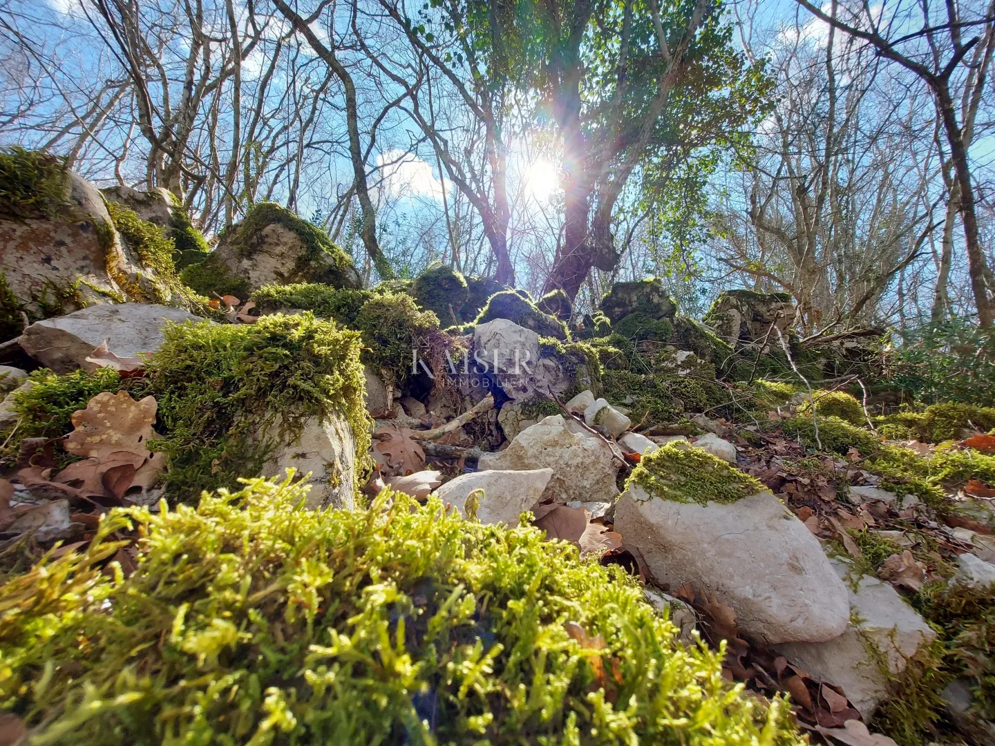 otok krk, krk- poljoprivredno zemljište 19.970m2 - slika 4