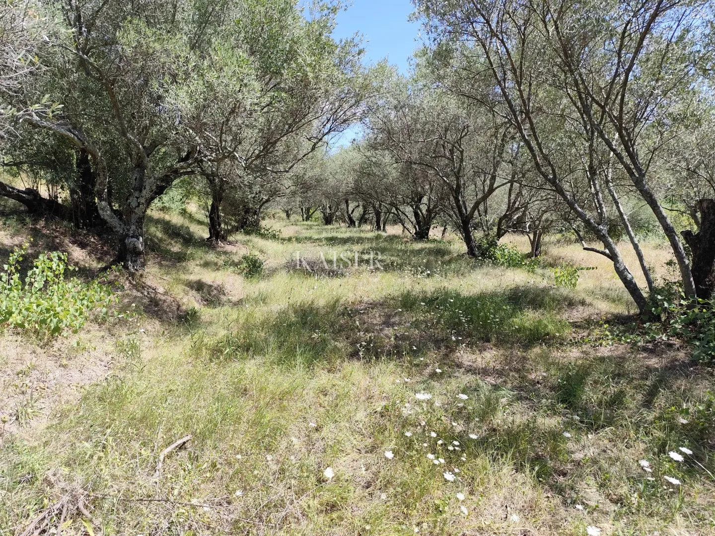 istra, buzet - građevinsko zemljište s pogledom na prirodu - slika 3