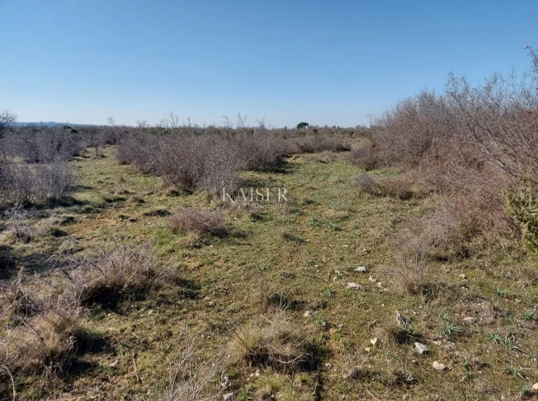 zadar, smoković,-građevinsko zemljište 12000m2 - slika 6