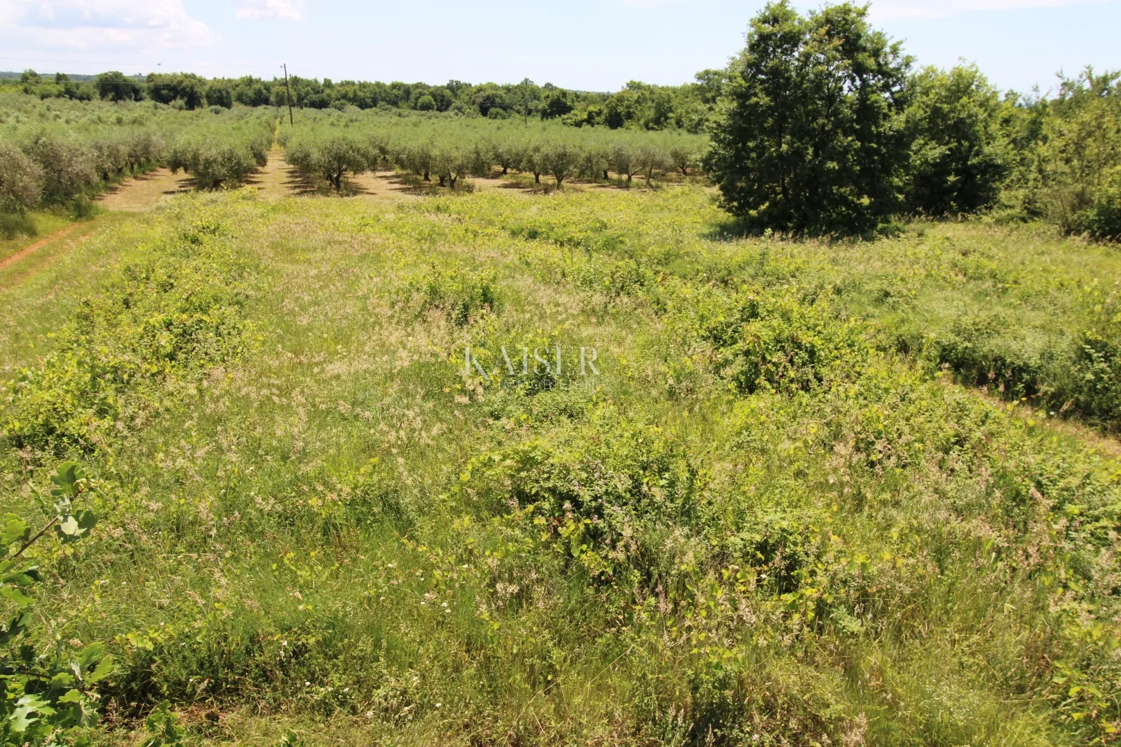 istra - poreč, građevinsko zemljište 500 m do mora t1 zona - slika 5