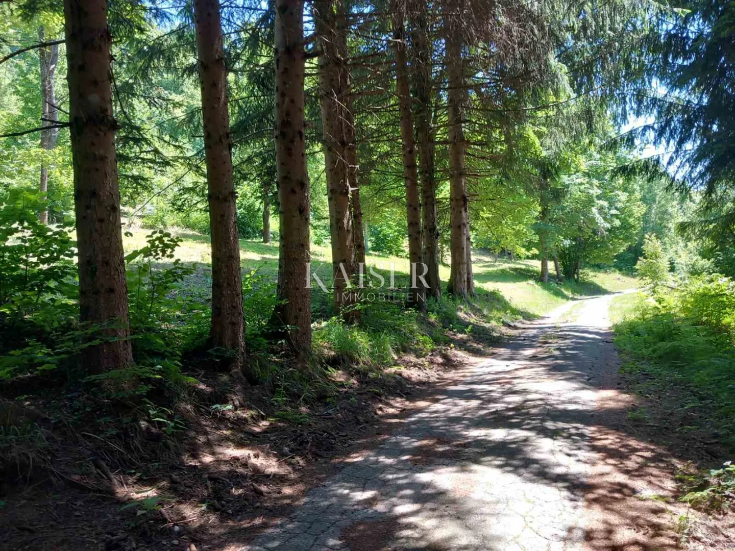 vrbovsko, kamensko-građevinsko zemljište s dvije ruševine, 776 m2 - slika 3