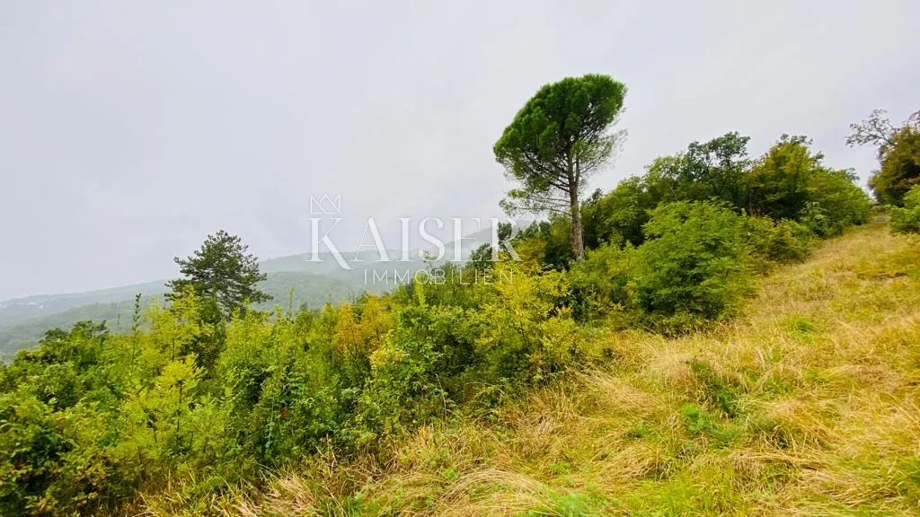 medveja - građevinsko zemljište 2.red do mora 6000 m2 - slika 11