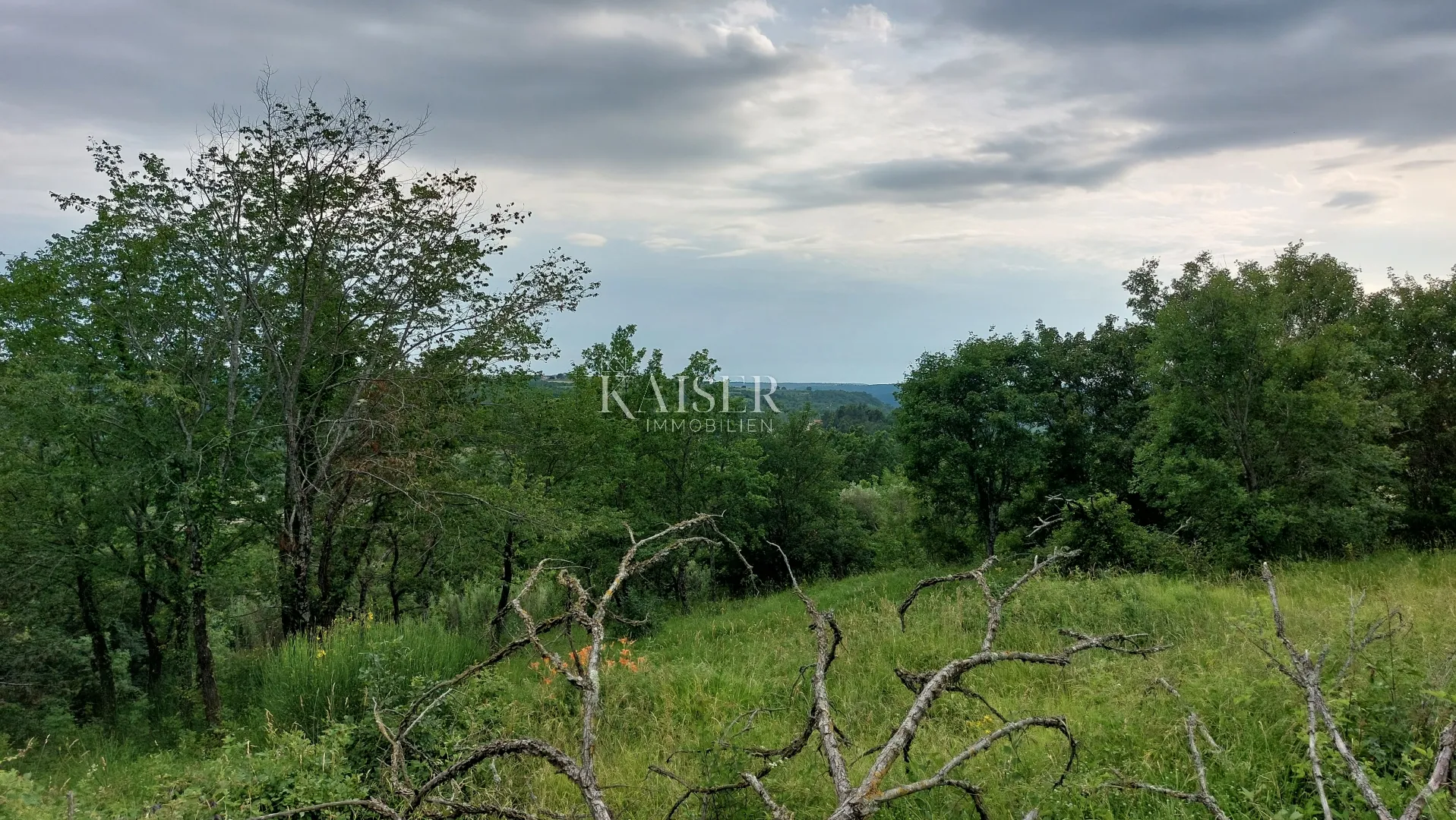 istra - grožnjan - građevinsko zemljište s prekrasnim pogledom - slika 3
