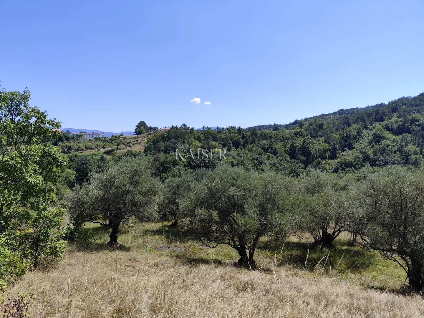 istra, buzet - građevinsko zemljište s pogledom na prirodu - slika 2