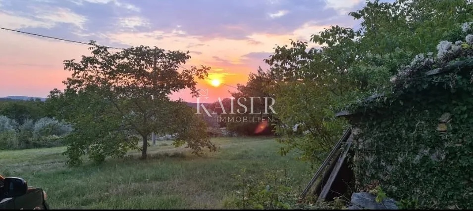 istra, oprtalj - građevinsko zemljište 4500 m2 s dvije kamene kuće - slika 4