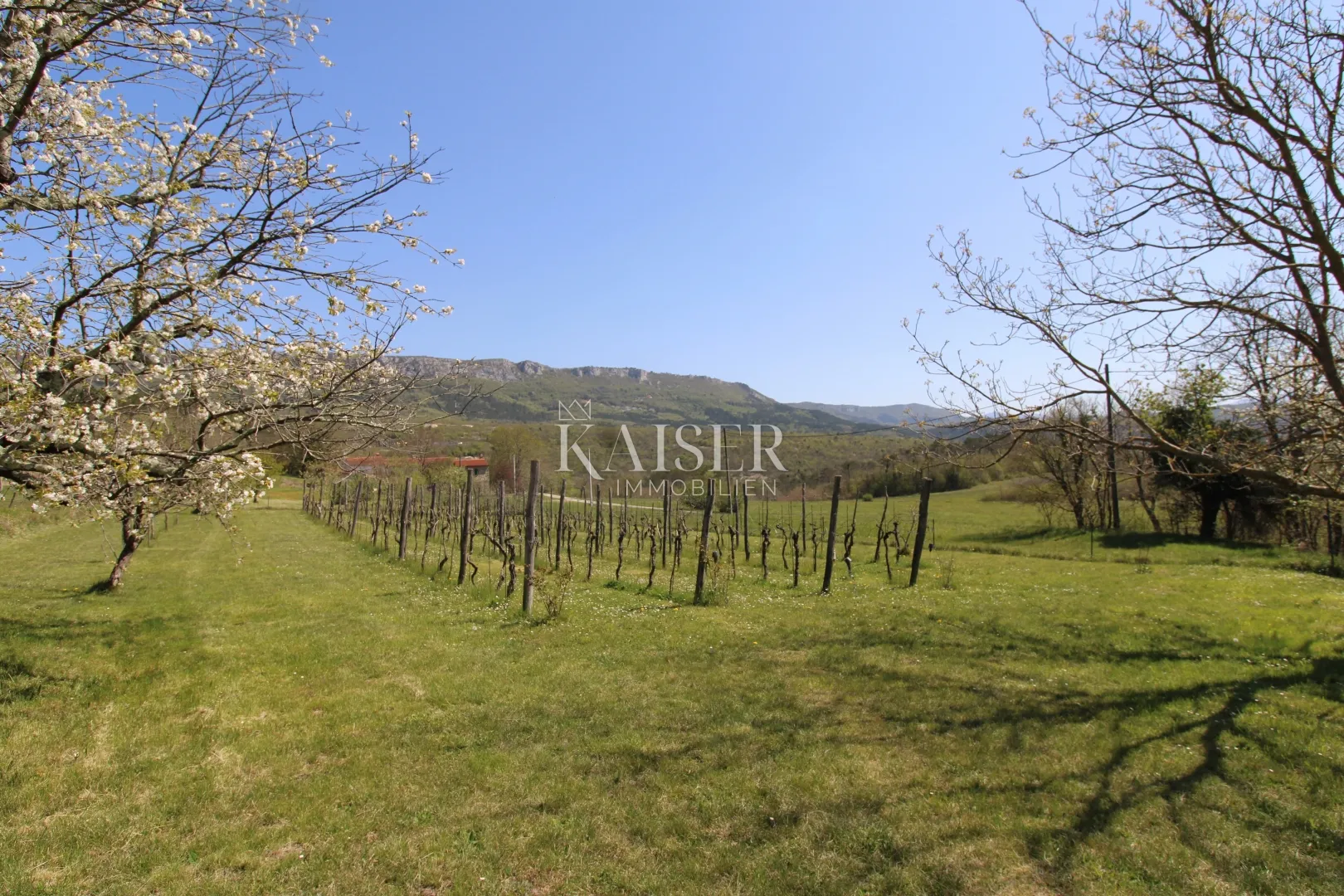 istra - buzet, kuća sa imanjem na 20000 m2 - slika 47