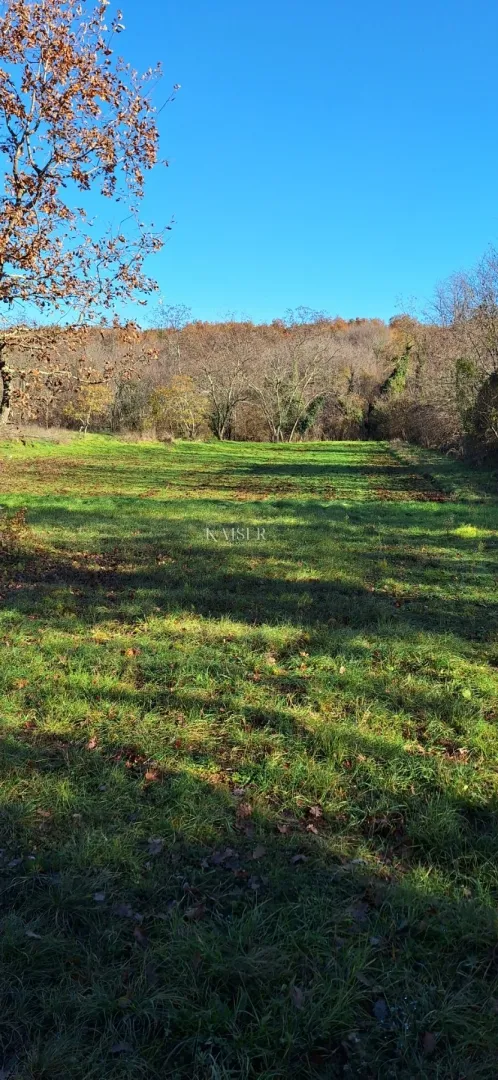 istra- višnjan, poljoprivredno zemljište 4 hektara - slika 4