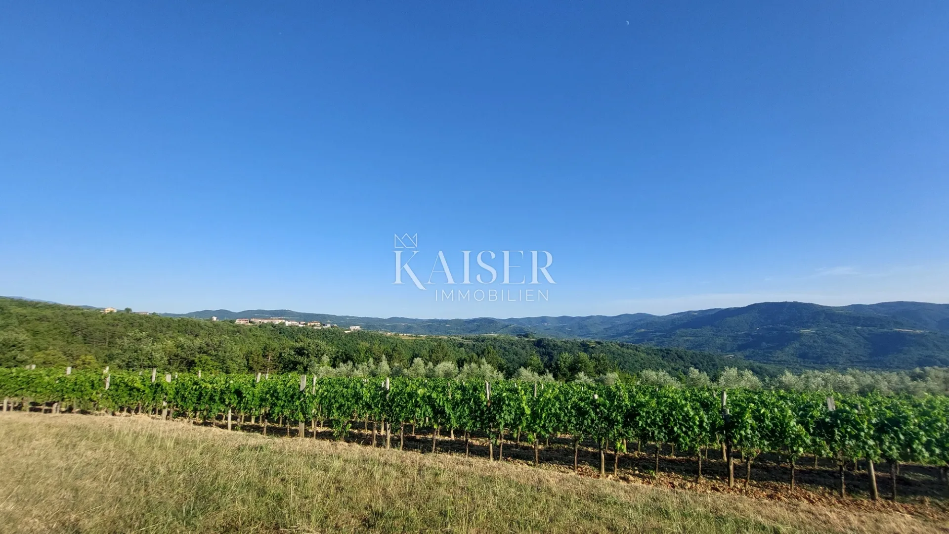 Istra, okolica Buzeta - poljoprivredno zemljište 2,5ha; mogućnost gradnje