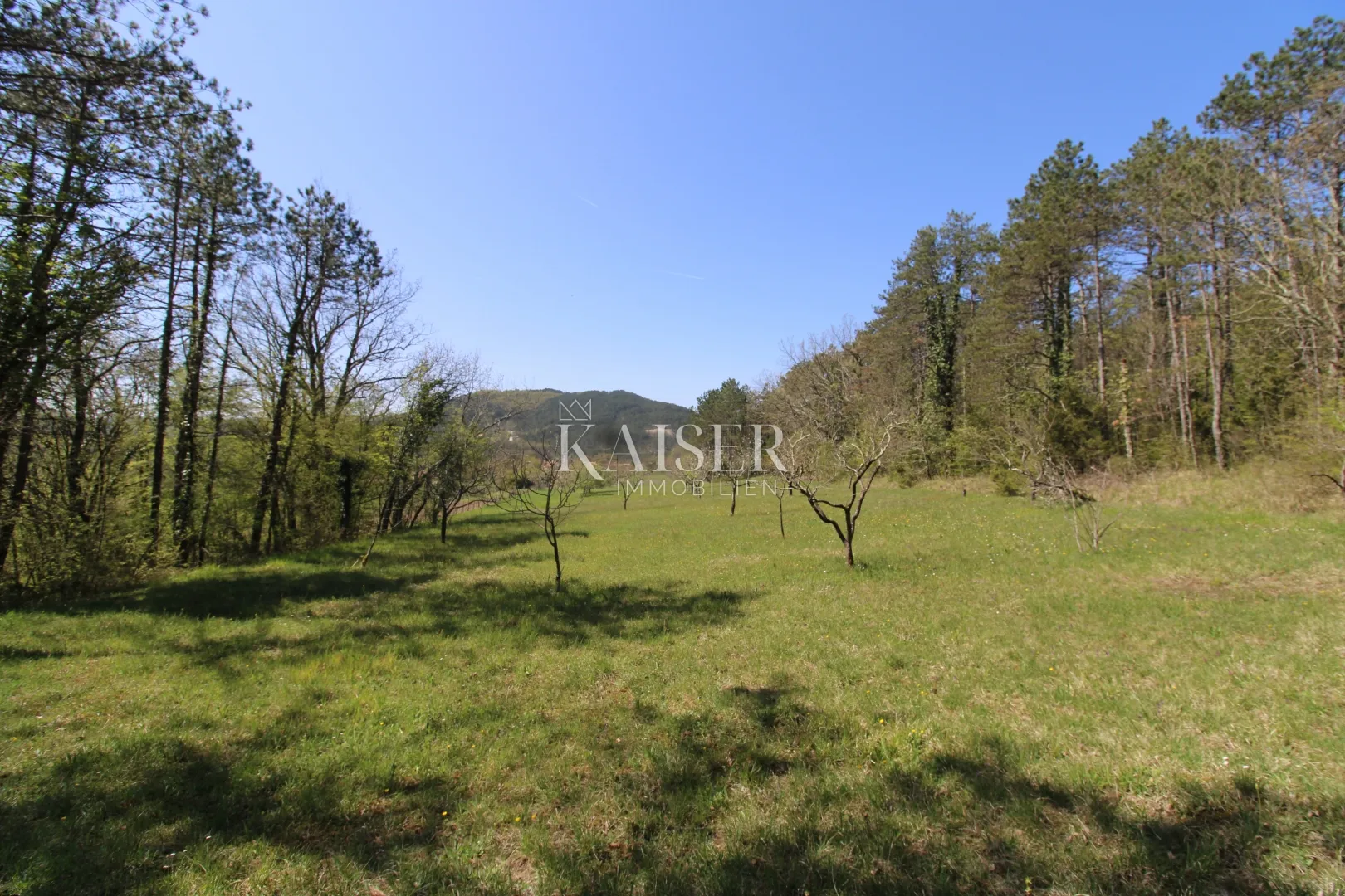 istra - buzet, kuća sa imanjem na 20000 m2 - slika 40