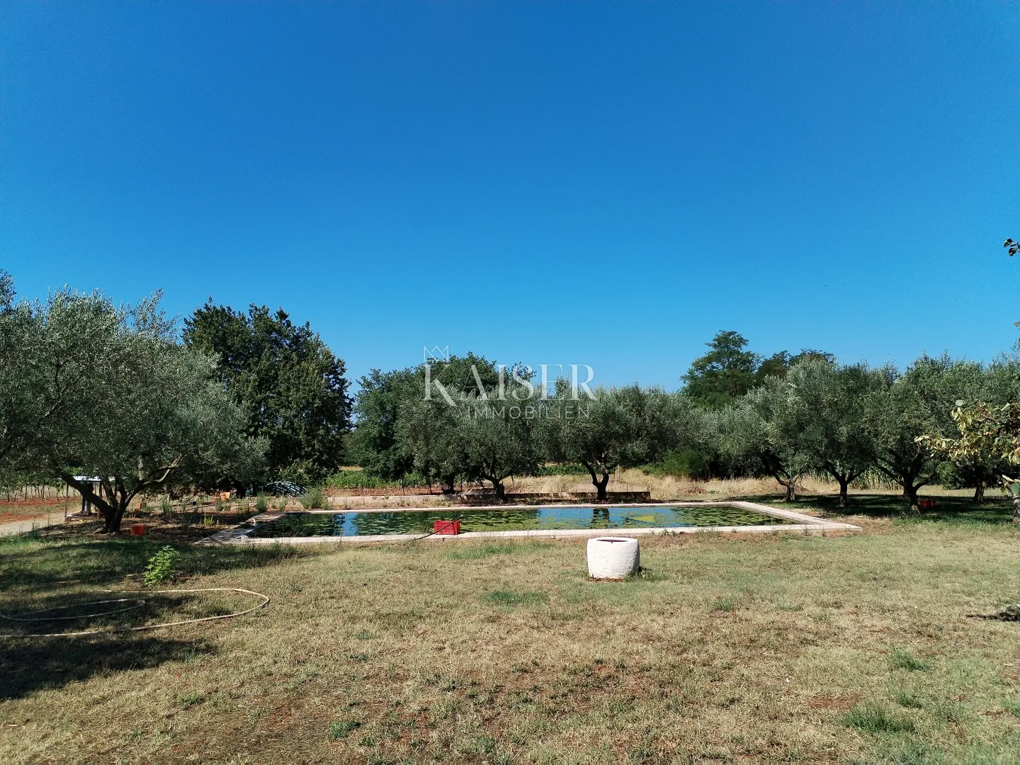 istra, umag, kuća 420m2, sa zemljištem 40.000m2 - slika 3
