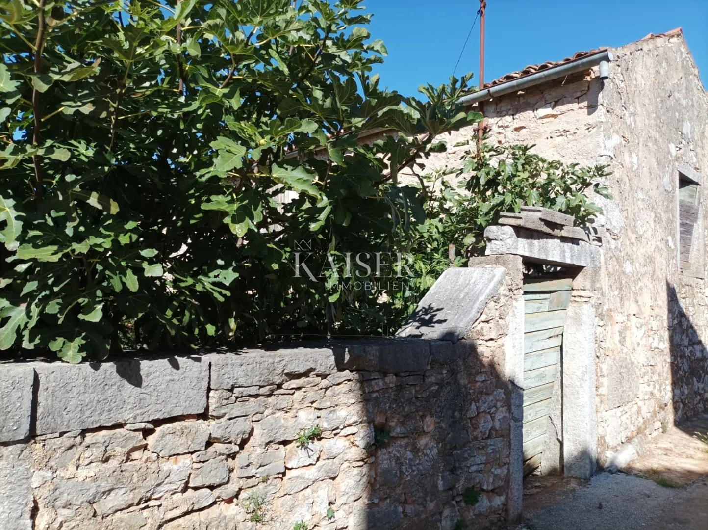 istra - višnjan, dvije starine s vrtom - slika 2