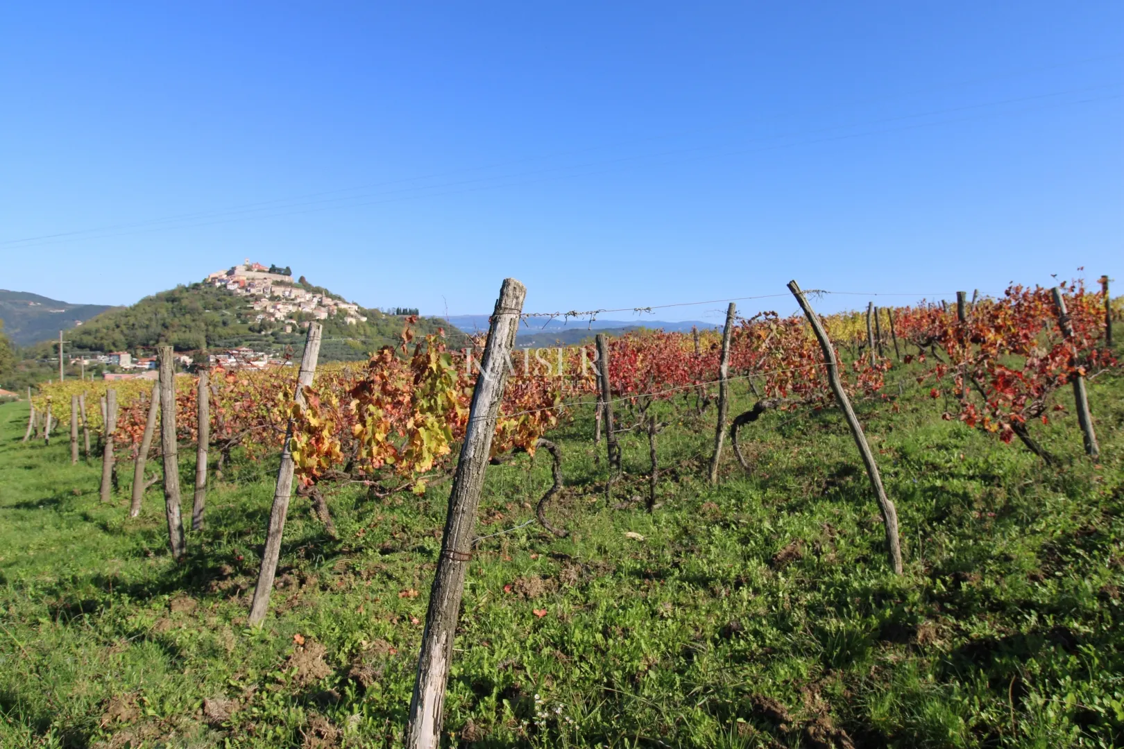 istra - motovun, poljoprivredno zemljište pogled motovun - slika 7