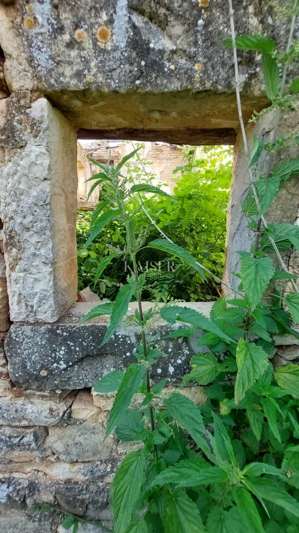 istra, grožnjan, okolica - građevinsko zemljište 1.000m2, sa ruševnim starinama - slika 8
