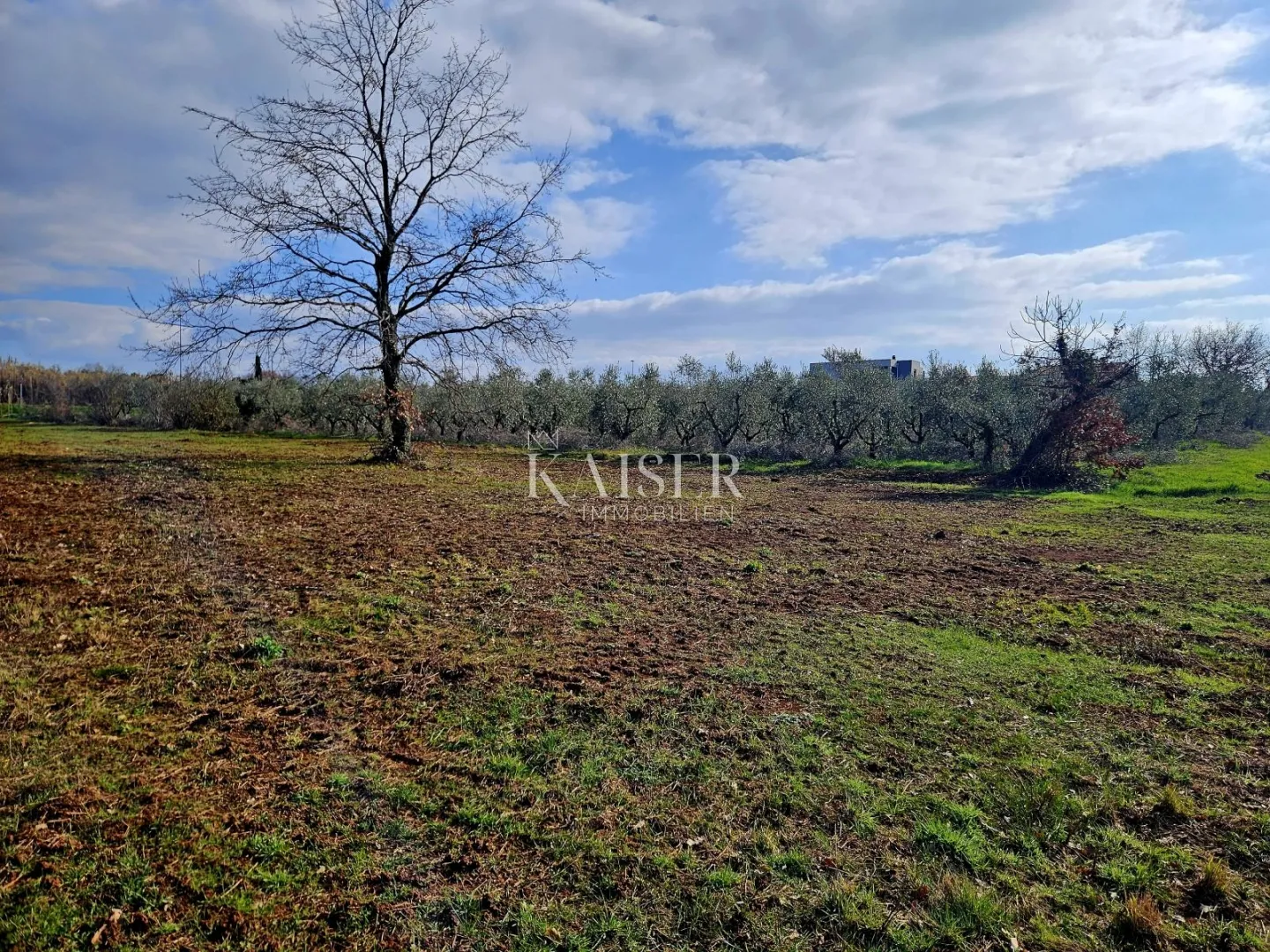 istra, novigrad - građevinsko zemljište; 650m2 za dvije stambene jedinice - slika 2