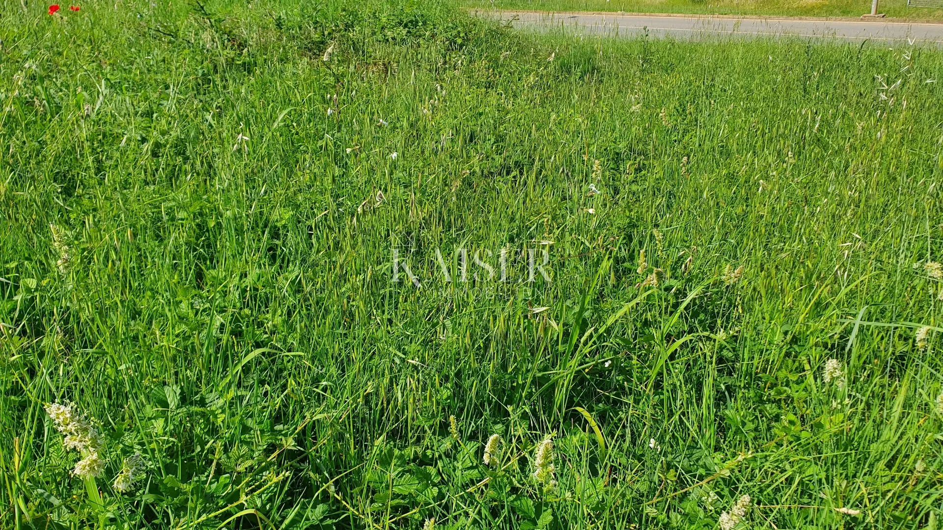 istra - poreč, izuzetno građevinsko zemljište pogled more u poreču - slika 2