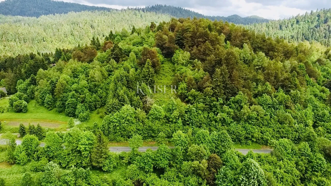 Crni Lug – građevinsko zemljište s prekrasnim pogledom - Crni Lug, Delnice