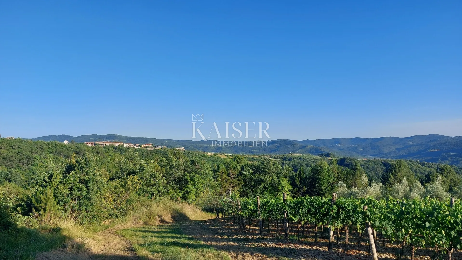 istra, okolica buzeta - poljoprivredno zemljište 2,5ha; mogućnost gradnje - slika 4