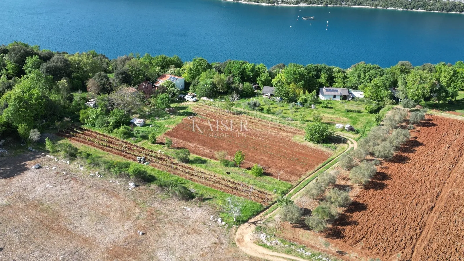 rovinj - imanje kraj mora, 10 000 m2 - slika 2