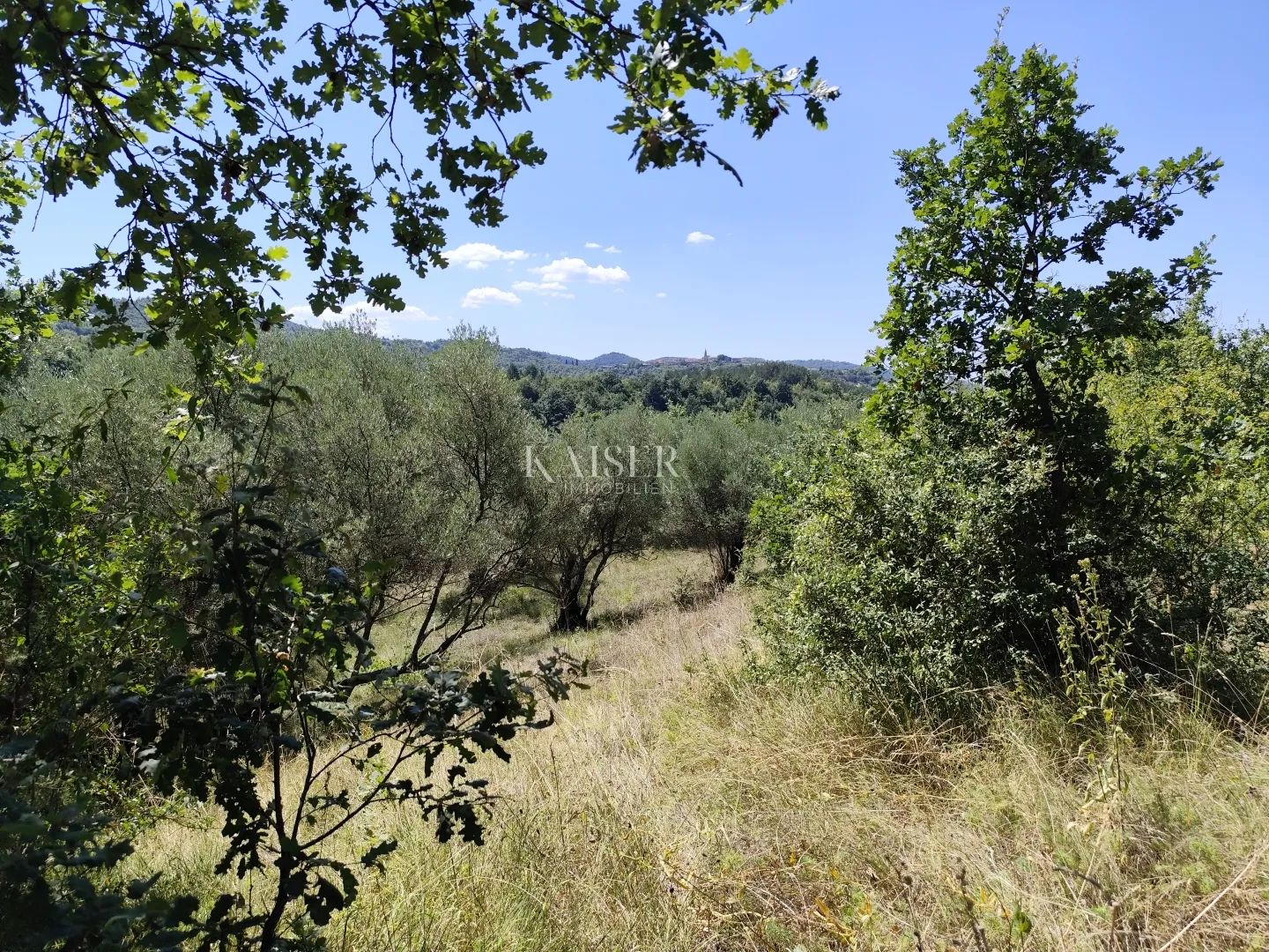 istra, buzet - građevinsko zemljište s pogledom na prirodu - slika 8
