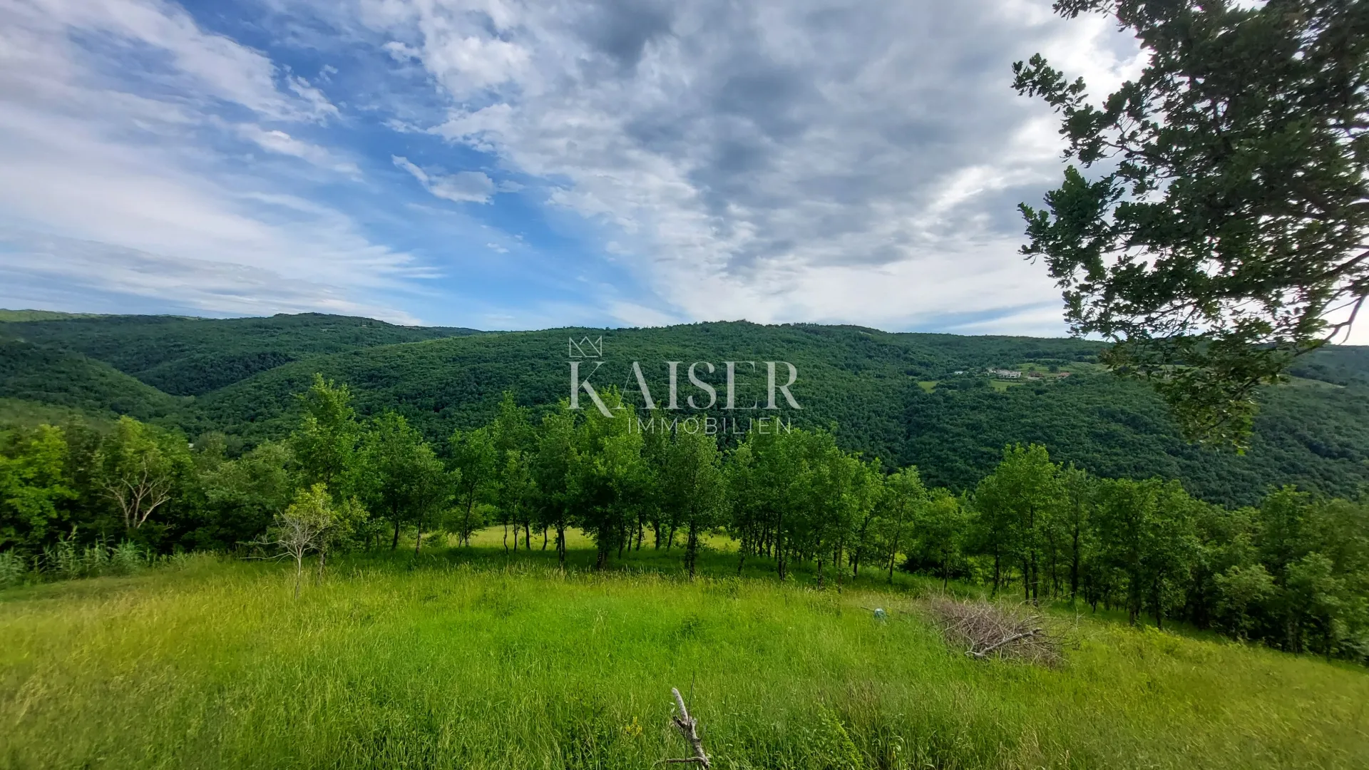 istra, motovun, okolica - građevinsko zemljište 880m2 - slika 2