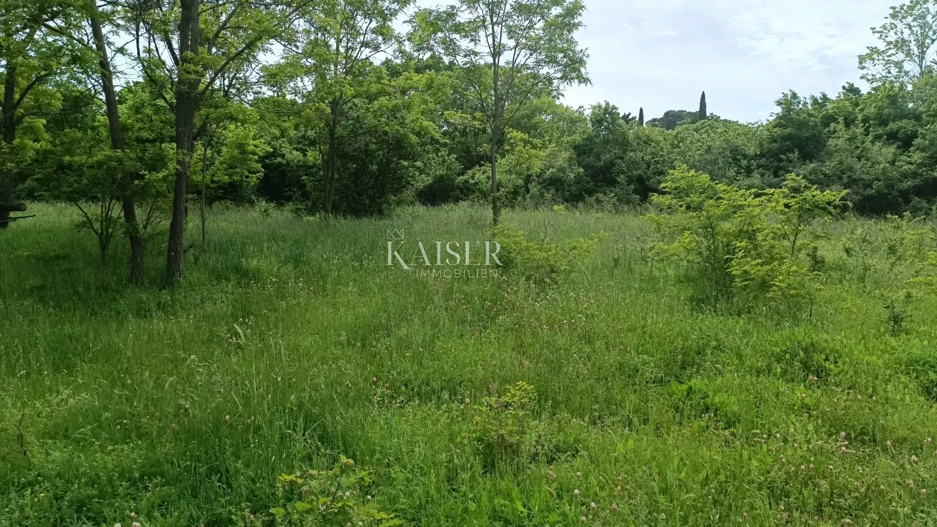 istra - barban - građevinsko zemljište, 970 m2 - slika 2