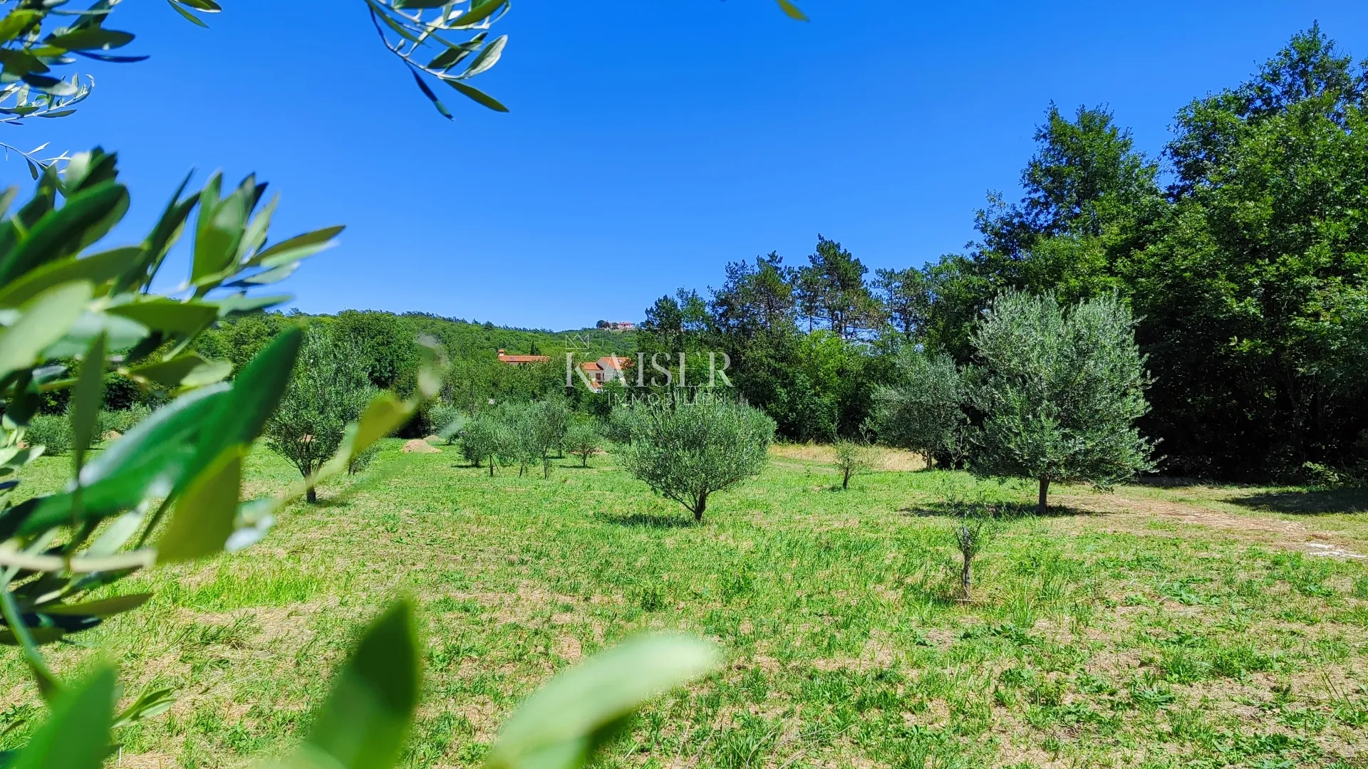 labin - imanje s kućom, 28.000m2 - slika 5