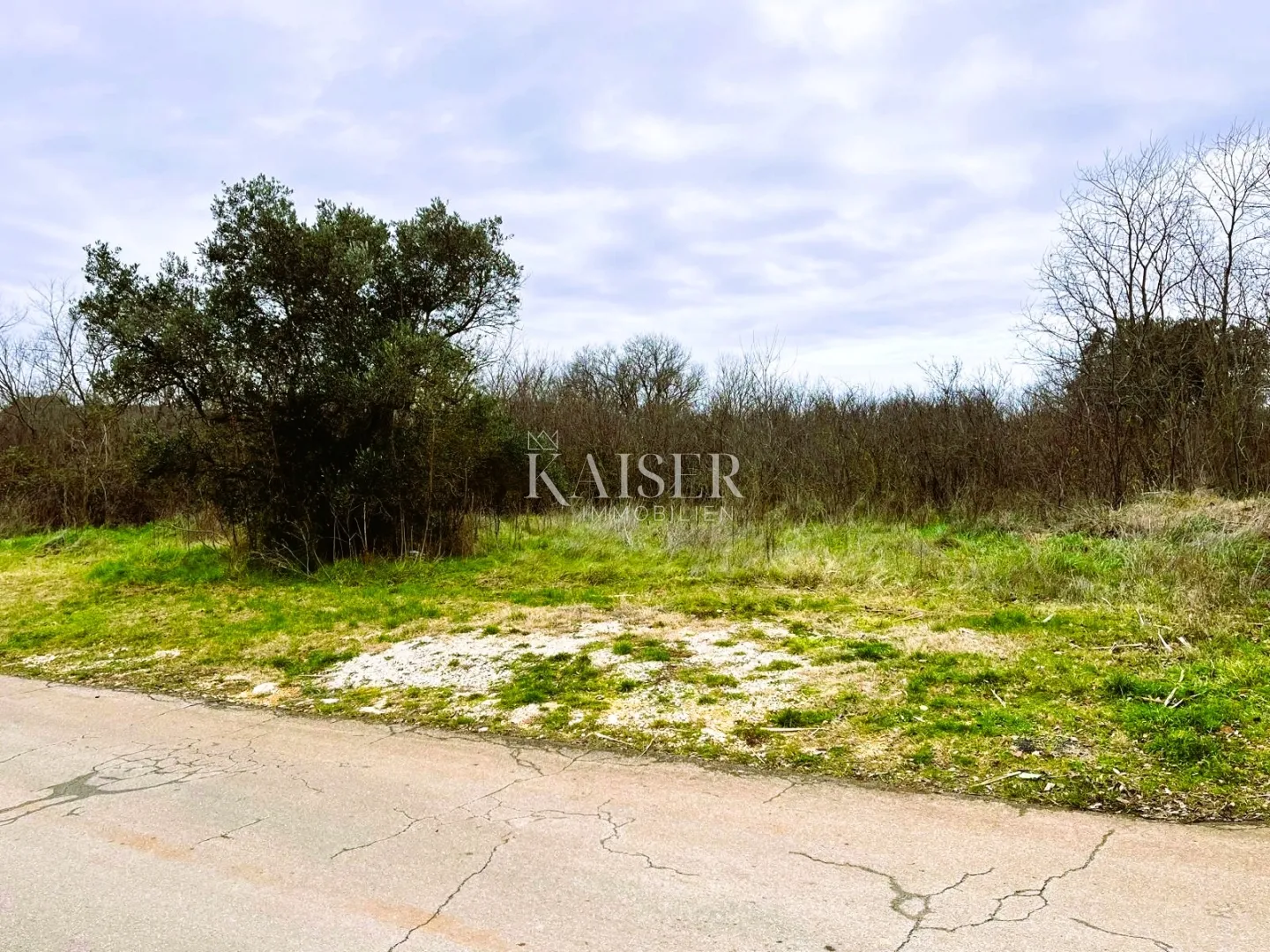 istra, bale građevinsko zemljište 7801 m2 - investicija za izgradnju luksuznih vila - slika 3