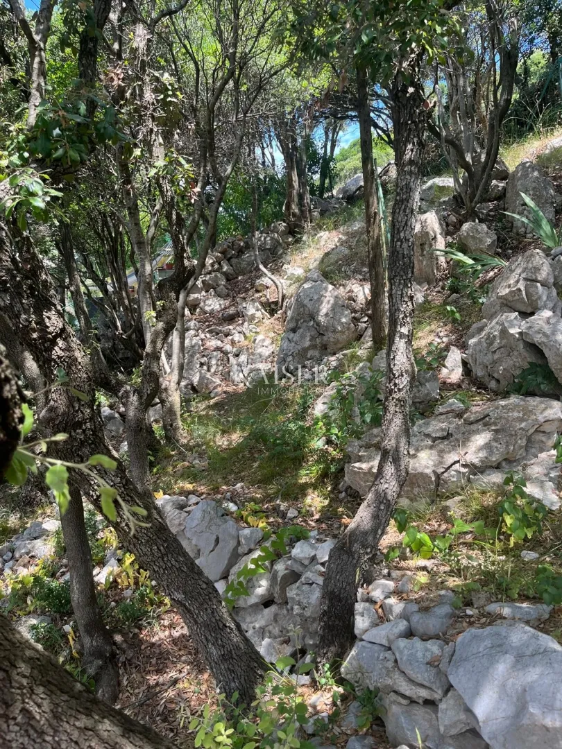 otok cres - zaglav - apartman s pogledom na more - slika 28