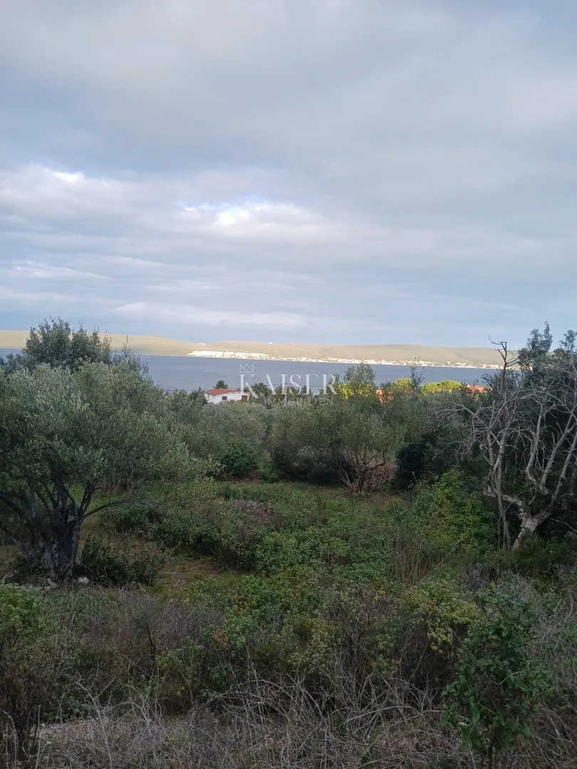 Otok Pašman- Poljoprivredno zemljište ,140 m od mora