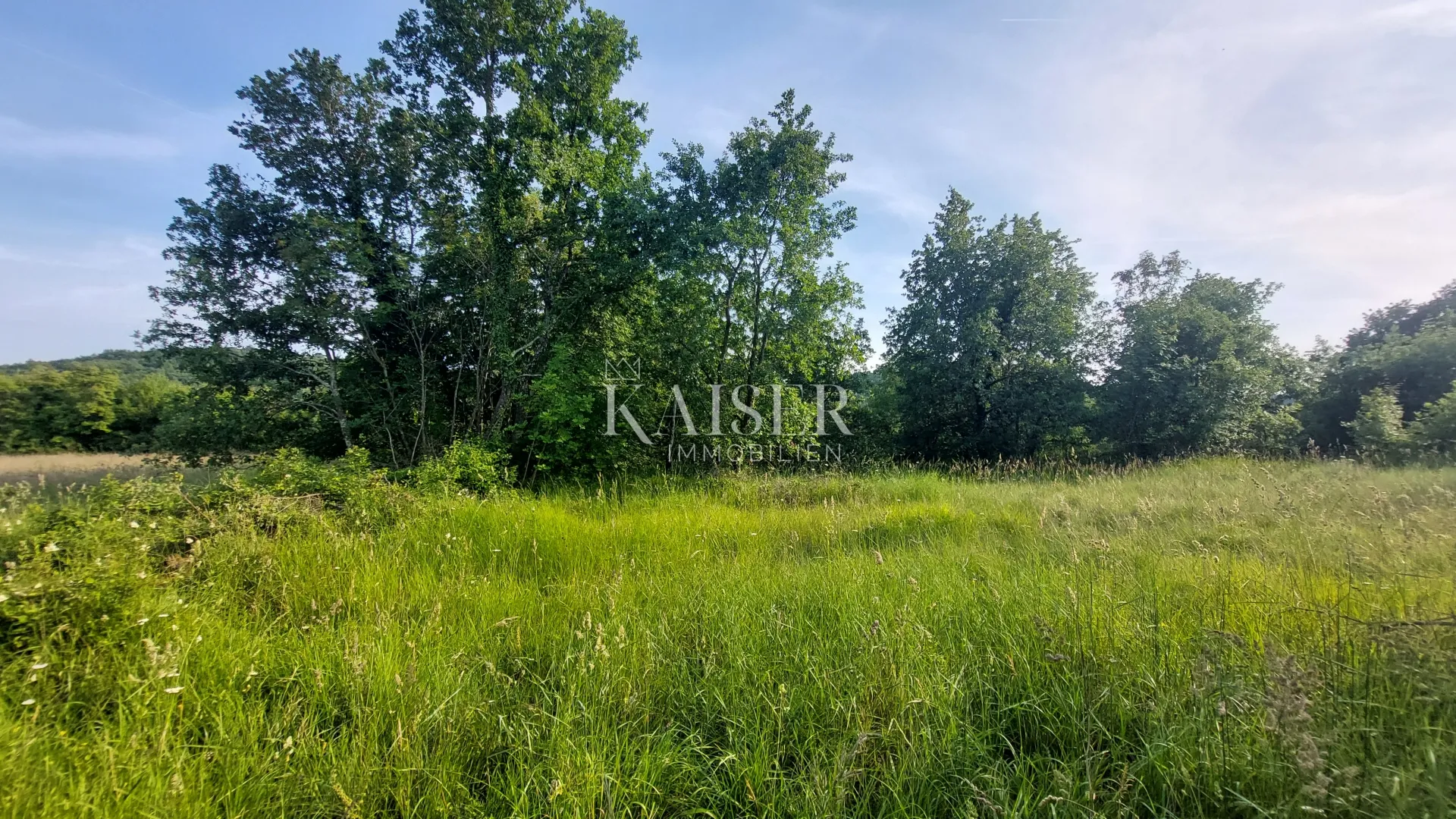 istra, buje okolica - građevinsko zemljište 1.500m2; blizina grožnjana - slika 2