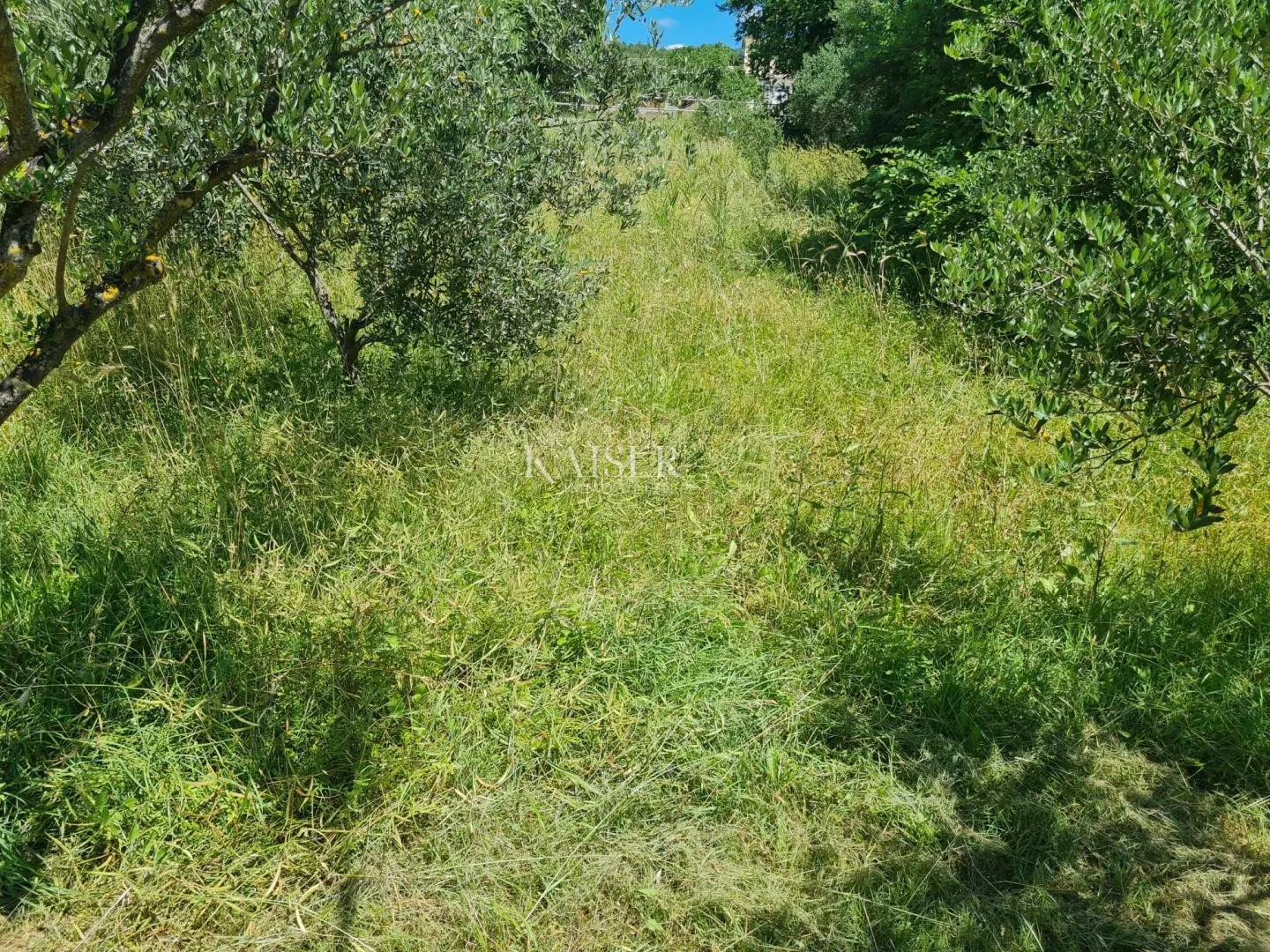 zadar-posedarje, atraktivno građevinsko zemljište - slika 3