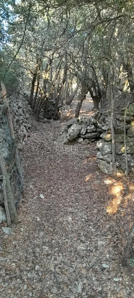 cres, uvala meli, poljoprivredno zemljište uz more - slika 3