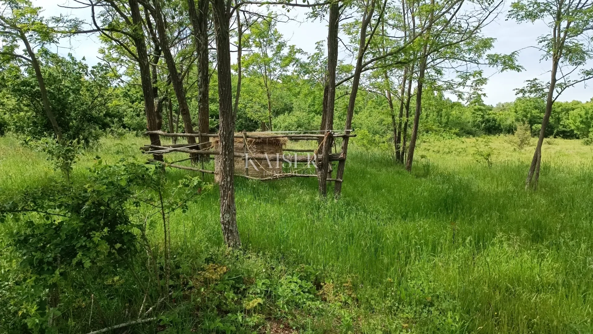 istra - barban - građevinsko zemljište, 970 m2 - slika 5