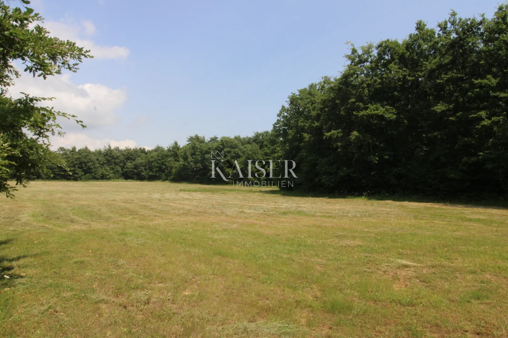 istra, labin- poljoprivredno zemljište 13.700m2 s šumom - slika 6