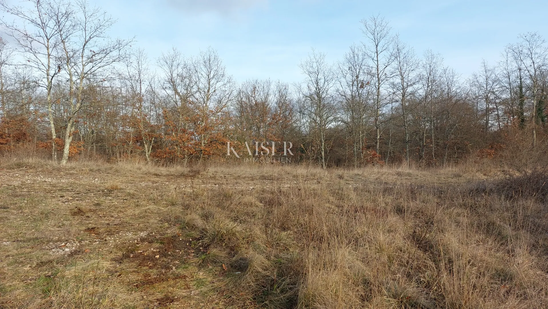 istra, pazin - zemljište za gradnju 54000m2 - slika 2