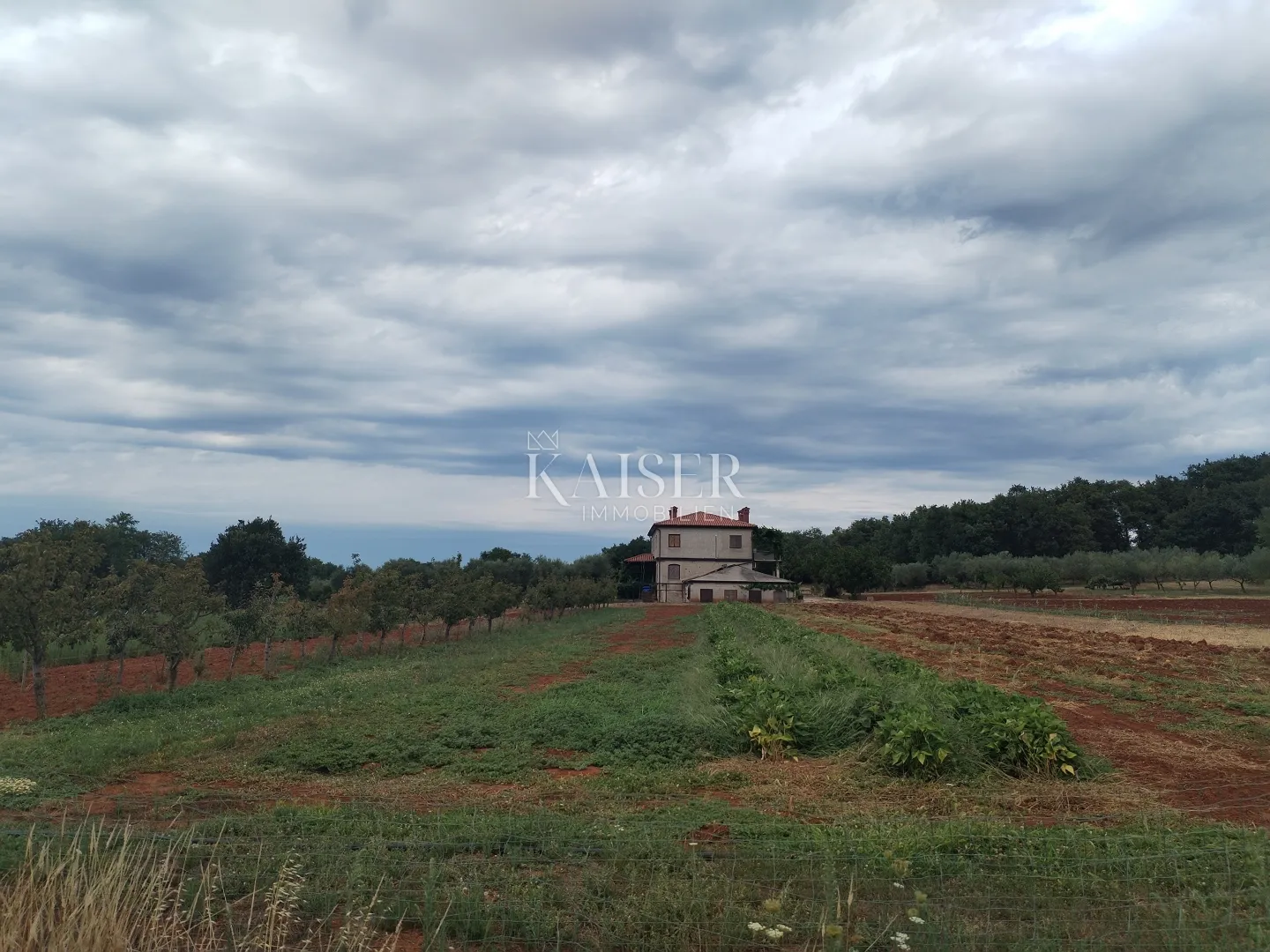 Istra, Umag, kuća 420m2, sa zemljištem 40.000m2