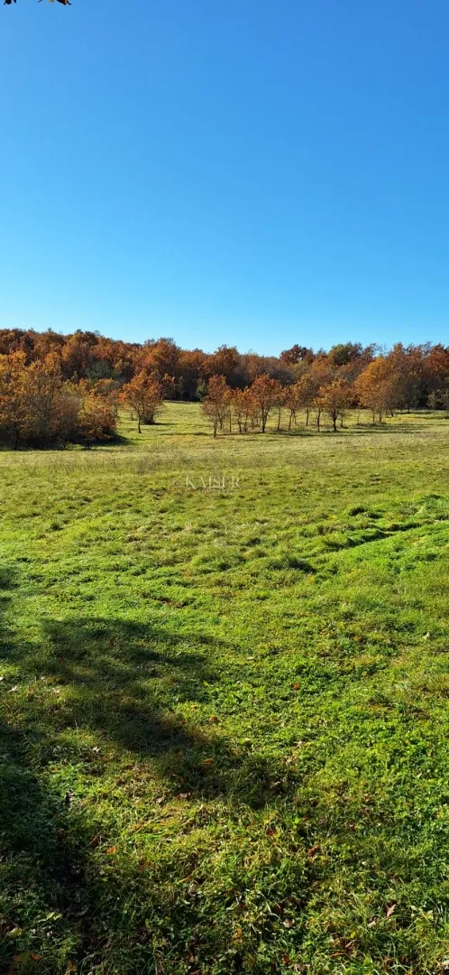 Istra- Višnjan, poljoprivredno zemljište 4 hektara