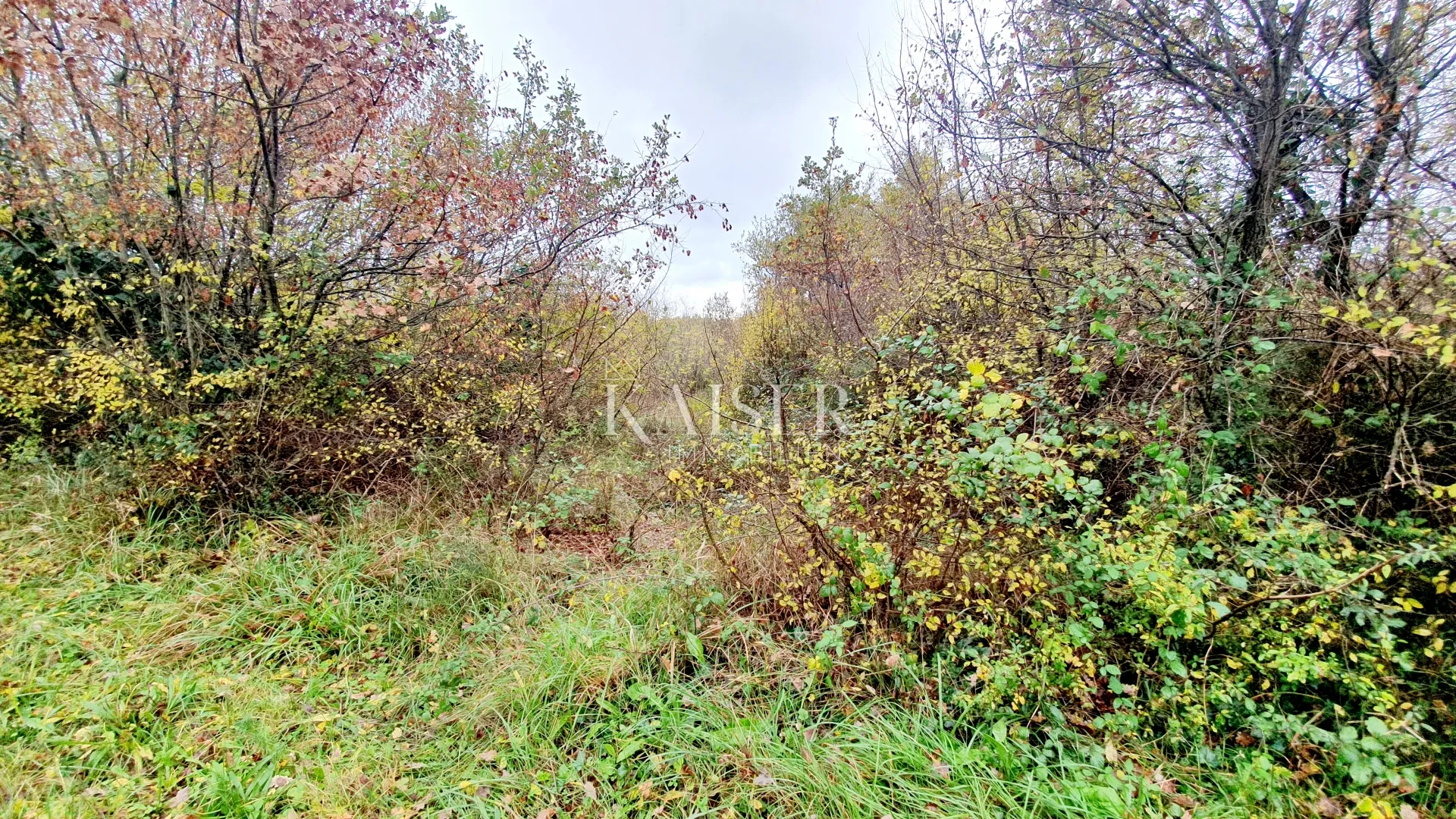 istra - višnjan, tri kamene kuće i zemljište 20.000 m2 - slika 10