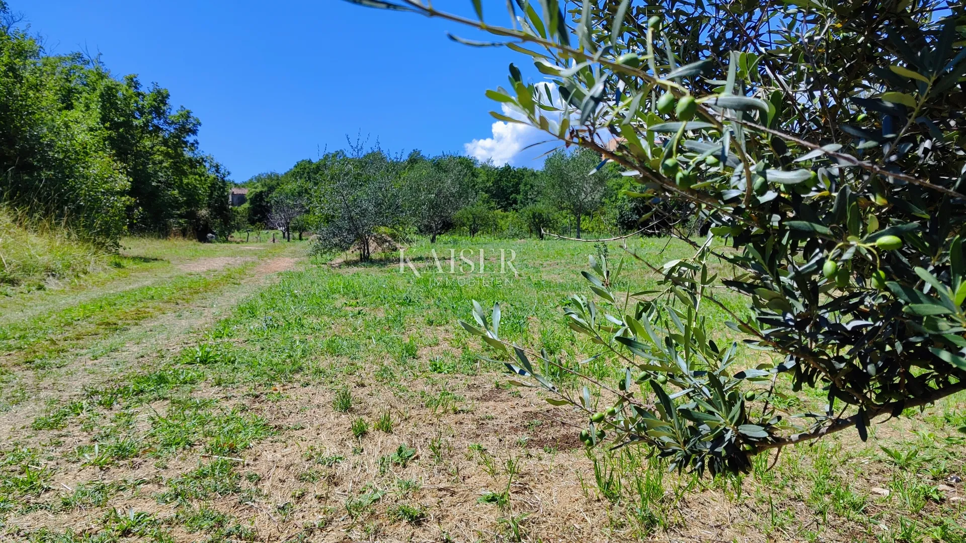 labin - imanje s kućom, 28.000m2 - slika 4