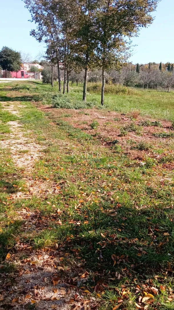 istra, tinjan- poljoprivredno zemljište 15.300m² s voćkama - slika 2