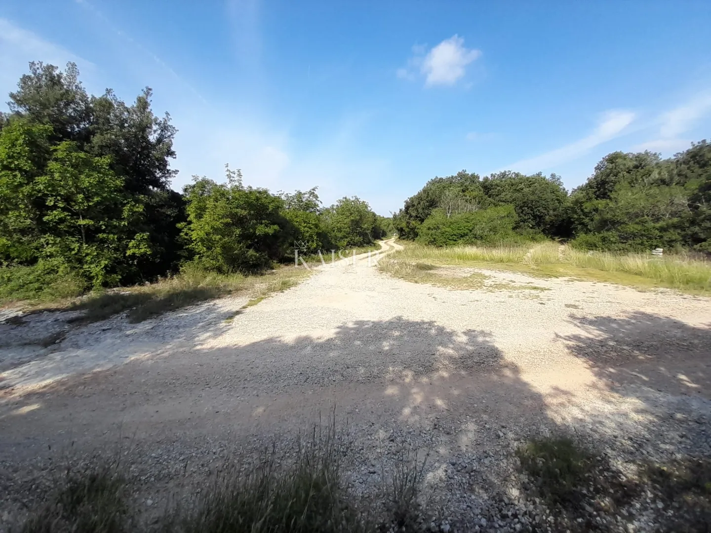 rovinj - imanje kraj mora, 10 000 m2 - slika 5