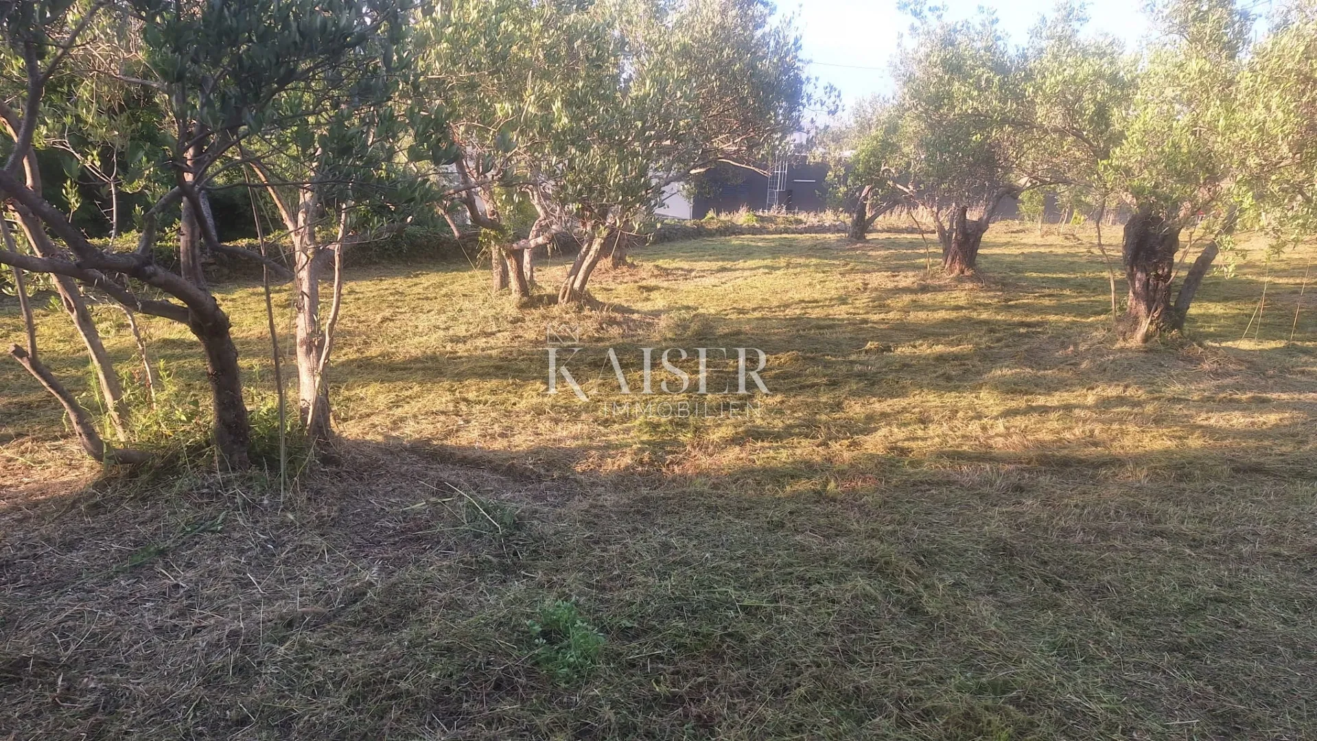 otok pašman – građevinsko zemljište 1411 m2 - slika 3