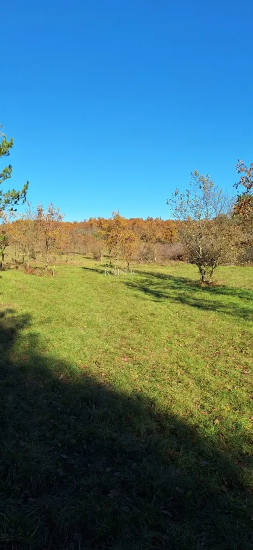 istra- višnjan, poljoprivredno zemljište 4 hektara - slika 2