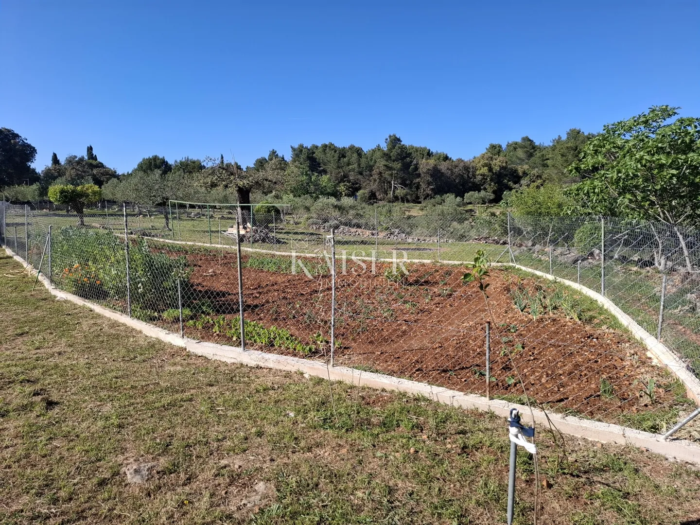 otok cres, punta križa, kuća 30 m2 sa 8.000 m2 terena - slika 9