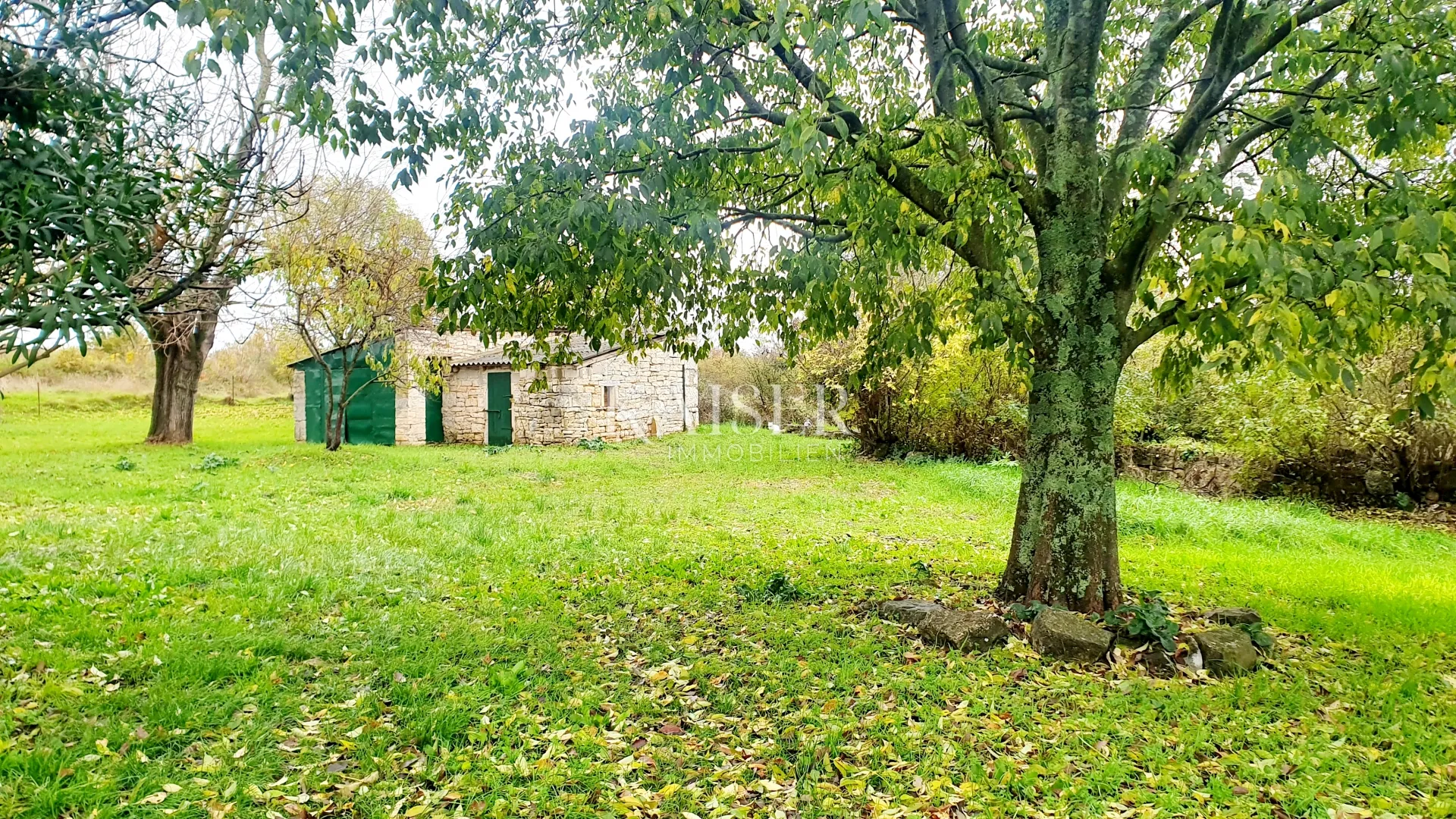 istra - višnjan, tri kamene kuće i zemljište 20.000 m2 - slika 4